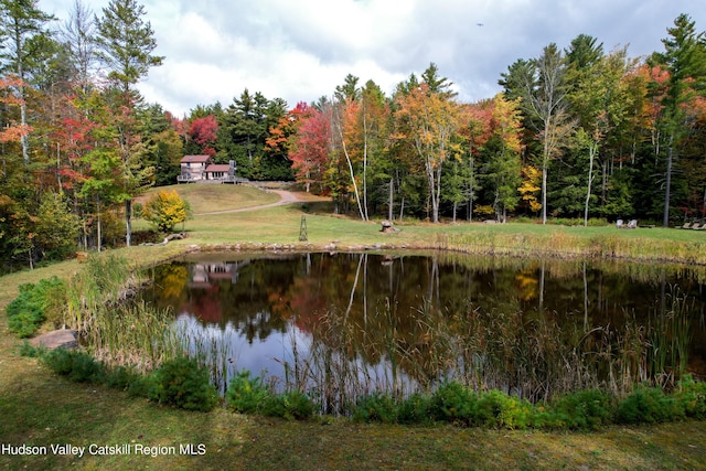 property view of water