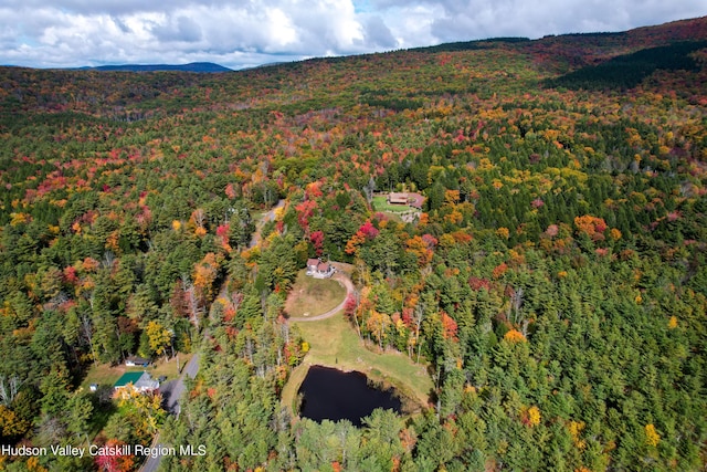 drone / aerial view with a water and mountain view