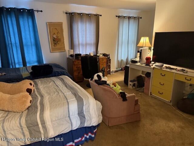 bedroom with light colored carpet