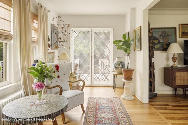 827 Union St, Hudson, NY 12534 - living area featuring healthy amount of natural light, wood finished floors, and radiator