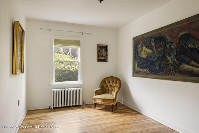 827 Union St, Hudson, NY 12534 - living area with radiator and light wood finished floors