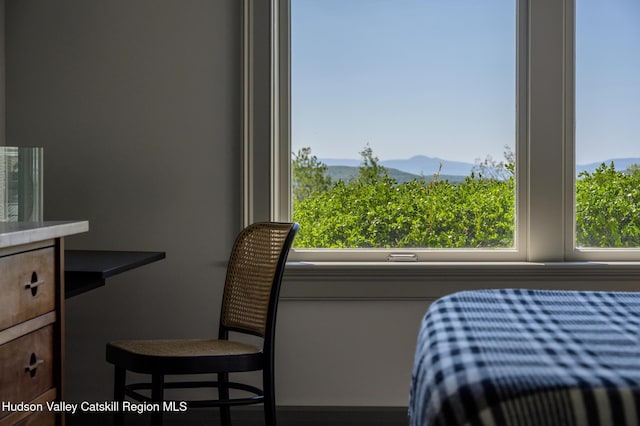 315 Weed Mine Rd, Copake, NY 12521 - view of bedroom