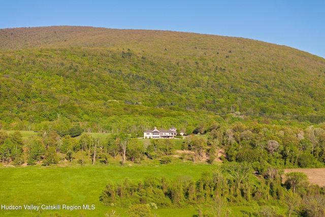 315 Weed Mine Rd, Copake, NY 12521 - view from above of property with a heavily wooded area