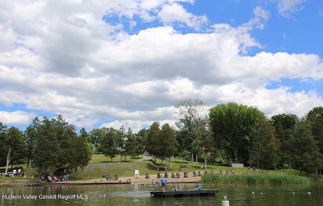 26 Debbie Dr, Athens, NY 12015 - view of dock with a water view