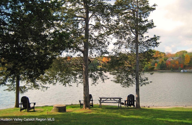 26 Debbie Dr, Athens, NY 12015 - view of water feature
