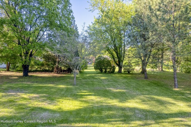 94 Tammany St, Kingston, NY 12401 - view of green lawn
