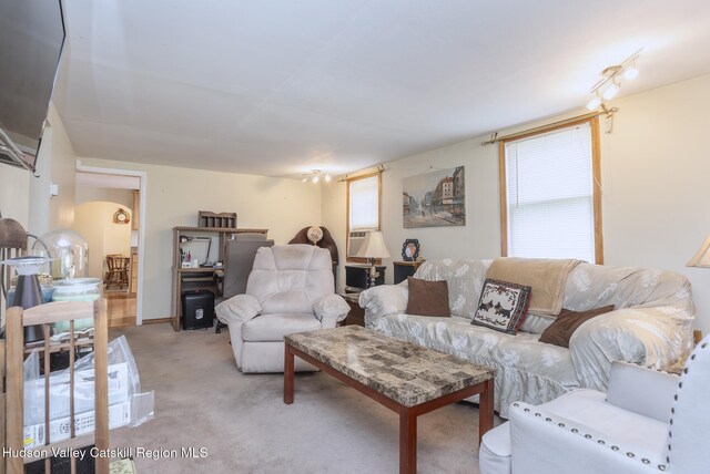 100 Gage St, Kingston, NY 12401 - photo 37