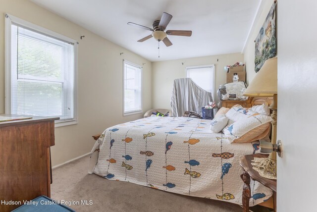 100 Gage St, Kingston, NY 12401 - photo 35