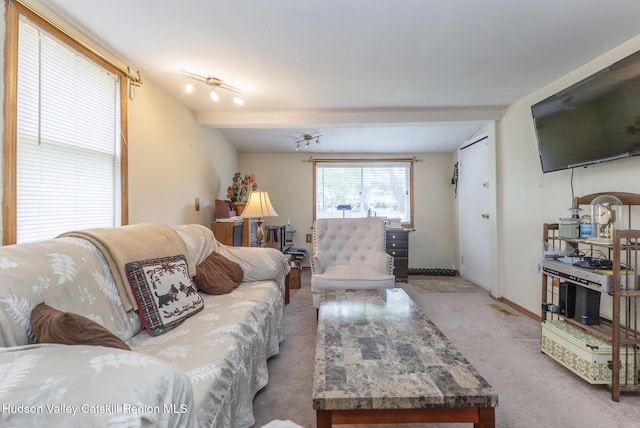 100 Gage St, Kingston, NY 12401 - photo 36