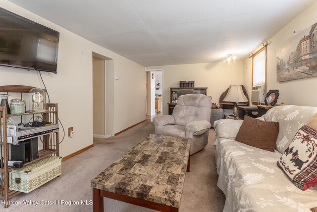100 Gage St, Kingston, NY 12401 - photo 38