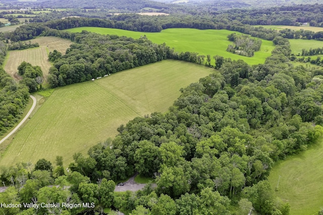 225 Simons Rd, Ancram, NY 12502 - photo 42