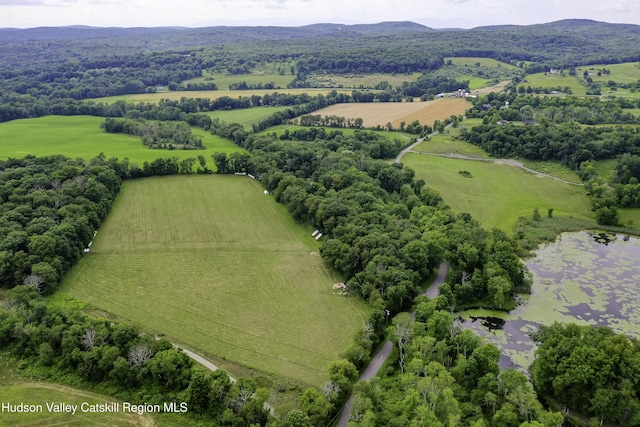 225 Simons Rd, Ancram, NY 12502 - photo 47