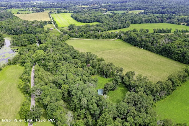 225 Simons Rd, Ancram, NY 12502 - photo 43