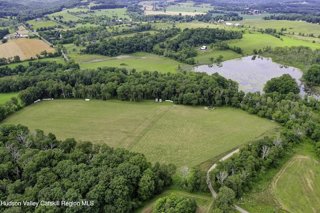 225 Simons Rd, Ancram, NY 12502 - photo 46