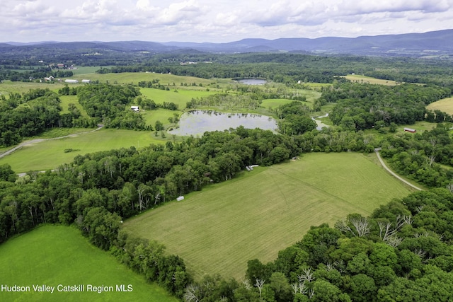 225 Simons Rd, Ancram, NY 12502 - photo 45