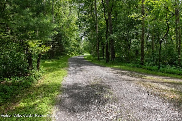 225 Simons Rd, Ancram, NY 12502 - photo 37