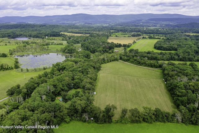 225 Simons Rd, Ancram, NY 12502 - photo 44