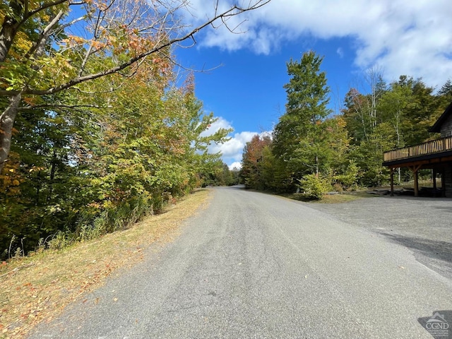 2 Twin Maples Ln, Windham, NY 12496