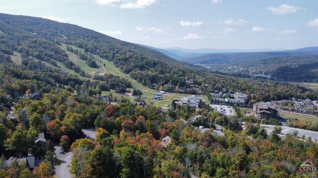 2 Twin Maples Ln, Windham, NY 12496