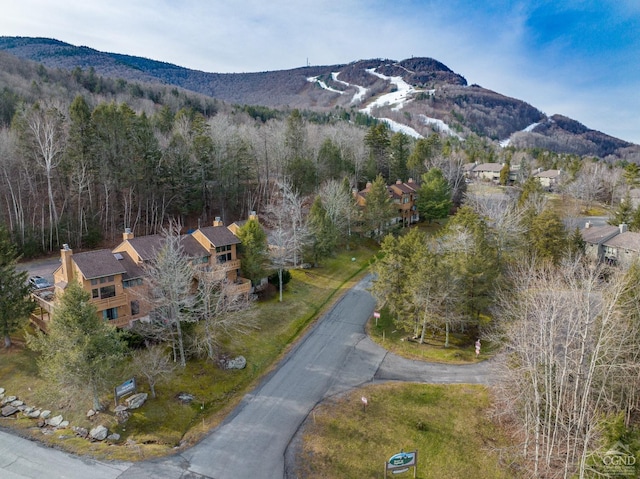 72 Hunter Dr Unit L5, Hunter, NY 12442 - photo 22