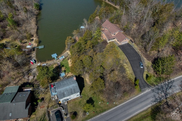 263 Sleepy Hollow Rd, Athens, NY 12015 - photo 8