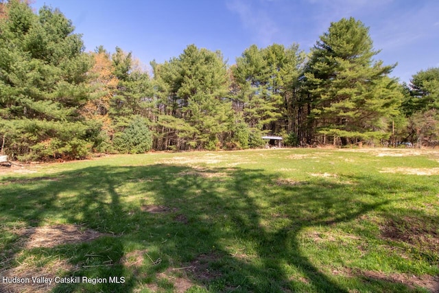 view of yard featuring a forest view