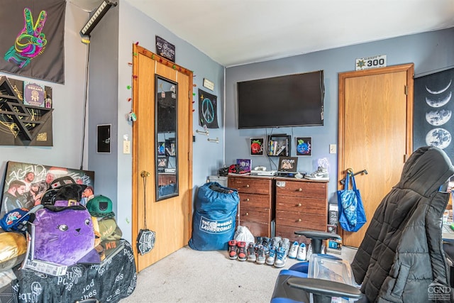 14 Montross St, Saugerties, NY 12477 - view of carpeted living area