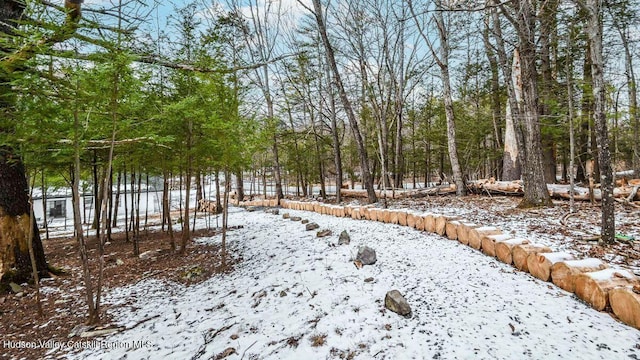 view of yard layered in snow