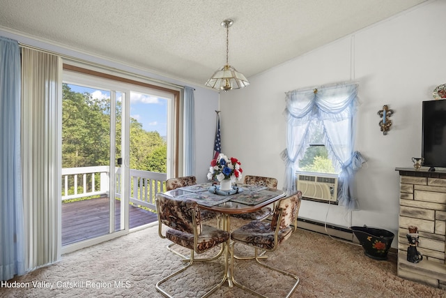 41 Cheviot Rd, Germantown, NY 12526 - photo 10