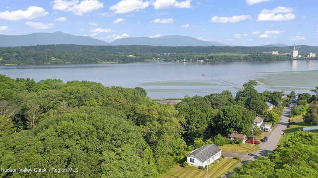 41 Cheviot Rd, Germantown, NY 12526 - photo 5