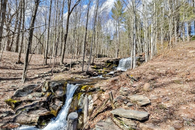 12658 Rte 23, Ashland, NY 12407 - view of nature