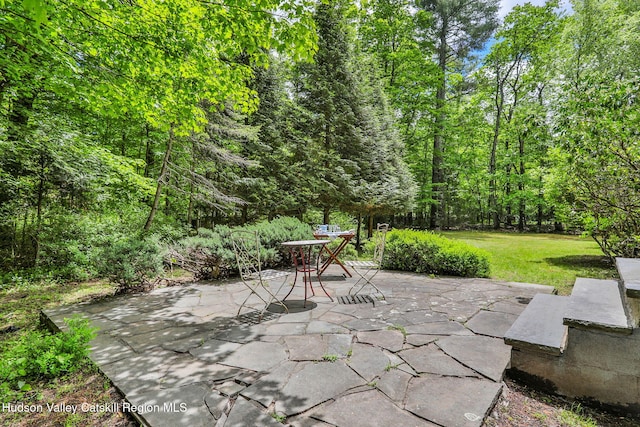 512 Watson Woods Rd, Lake Hill, NY 12448 - view of patio with a view of trees