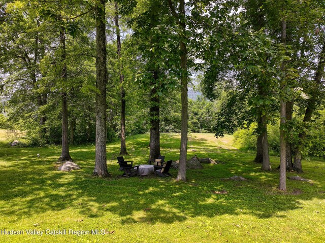 16 High Pasture Rd, New Paltz, NY 12561 - photo 33