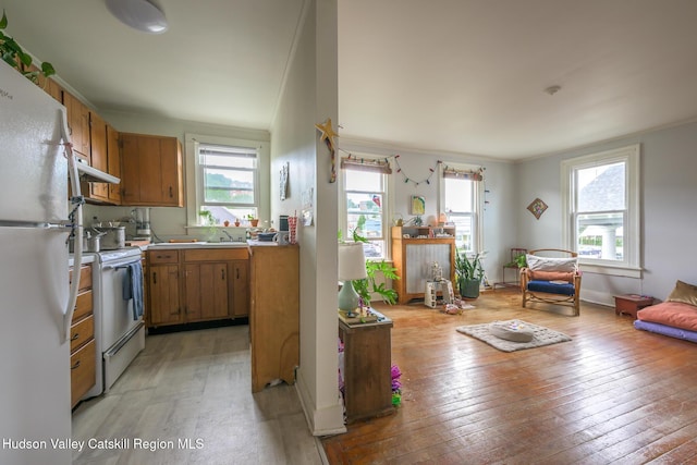 66 Green, Hudson, NY 12534 - kitchen featuring freestanding refrigerator, extractor fan, stove, brown cabinetry, and light wood-style flooring