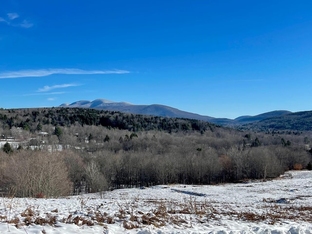 0-LOT1 Vining Rd, Windham, NY 12496
