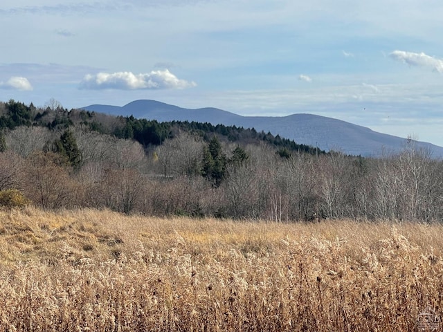 0-LOT1 Vining Rd, Windham, NY 12496