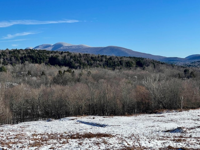 0-LOT1 Vining Rd, Windham, NY 12496