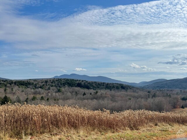 0-LOT1 Vining Rd, Windham, NY 12496
