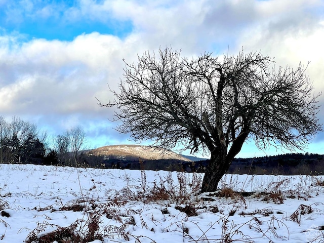 0-LOT1 Vining Rd, Windham, NY 12496