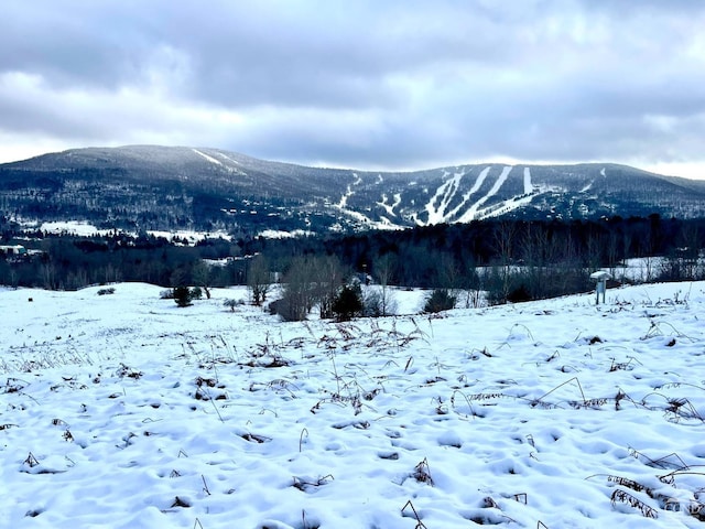 0-LOT1 Vining Rd, Windham, NY 12496
