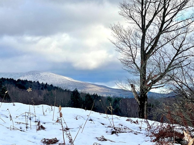 0-LOT1 Vining Rd, Windham, NY 12496