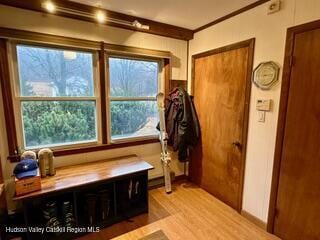 212 S St, Windham, NY 12496 - mudroom with light wood finished floors