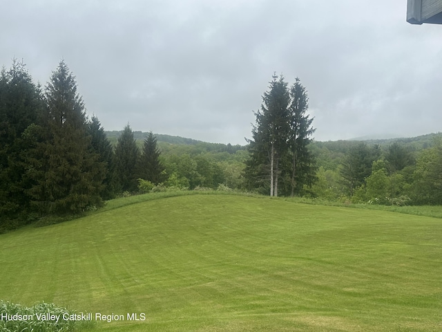 212 S St, Windham, NY 12496 - view of grassy yard featuring a wooded view