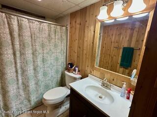 212 S St, Windham, NY 12496 - full bathroom with wood walls, vanity, toilet, and a shower with curtain