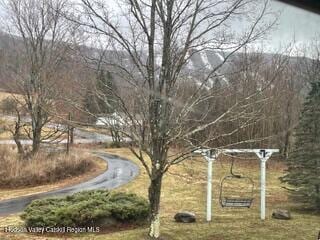 212 S St, Windham, NY 12496 - view of surrounding community