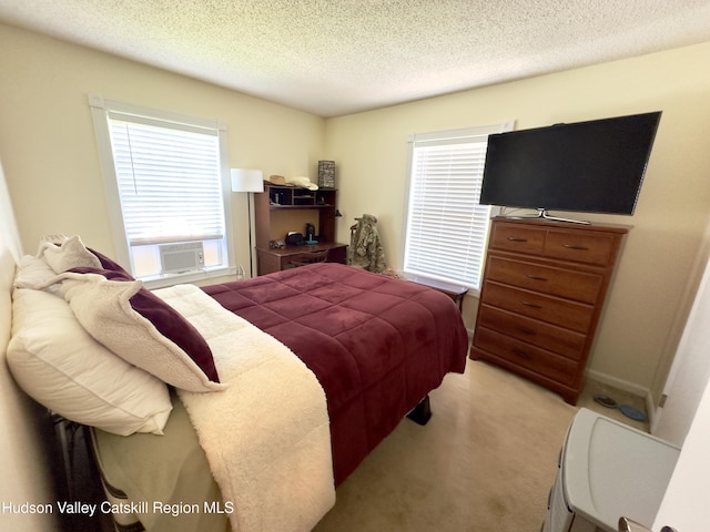 12 Luke St, Coxsackie, NY 12051 - photo 13