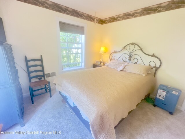 12 Luke St, Coxsackie, NY 12051 - photo 9