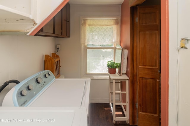 73 Cauterskill Ave, Catskill, NY 12414 - washroom with wood finished floors and washing machine and clothes dryer