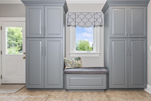 1 Stoneridge Dr, Loudonville, NY 12211 - mudroom with plenty of natural light, crown molding, and light tile patterned floors
