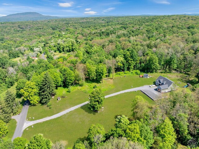 174 Grove School Rd, Catskill, NY 12414 - photo 39